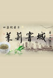 茉莉窨城2013