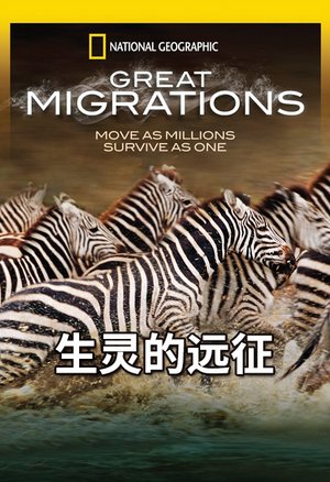 生灵的远征
