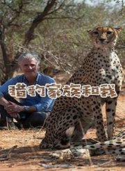 猎豹家族和我
