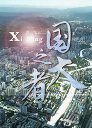 国之大者