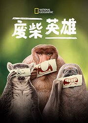 废柴英雄普通话版