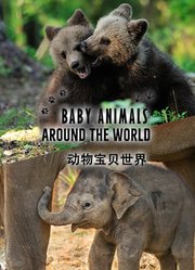 动物宝贝世界配音版