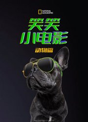 笑笑小电影：动物篇配音版