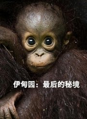 伊甸园：最后的秘境-普通话版