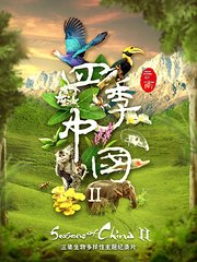 四季中国第2季（云南篇）