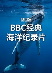 BBC高分海洋纪录片