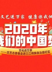 2020“我们的中国梦”——文化进万家