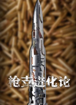 枪支进化论