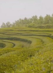 制作工厂，万物皆可制造
