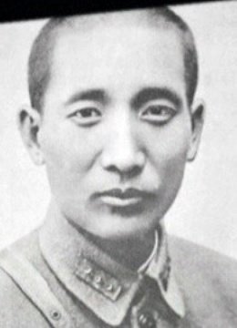 和平将军张治中