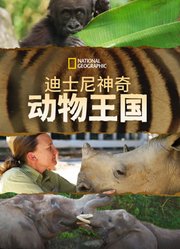 迪士尼神奇动物王国第2季中配版