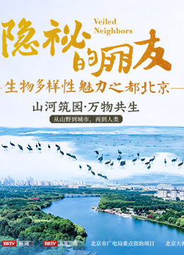 隐秘的朋友-生物多样性魅力之都北京
