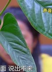 男子通过网站认识女友，以各种借口骗取钱款，被抓后竟还矢口否认