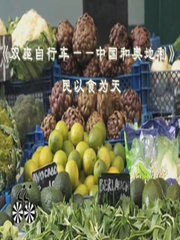 【双座自行车——中国和奥地利】第6期：民以食为天