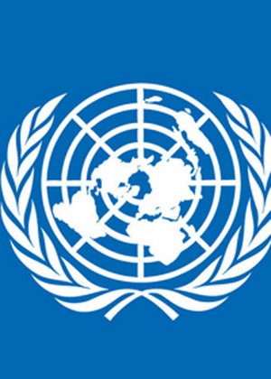 联合国视界