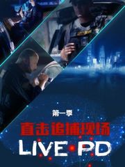 直击追捕现场：LIVEPD第1季