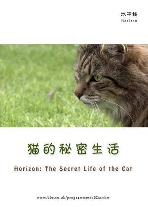 猫的秘密生活