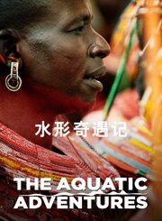 水形奇遇记