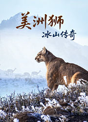 美洲狮：冰山传奇-配音版