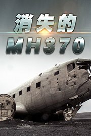 消失的MH370