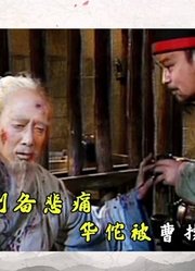 《三国解说》第五十集：关羽战死刘备悲痛，华佗被曹操关入大牢！