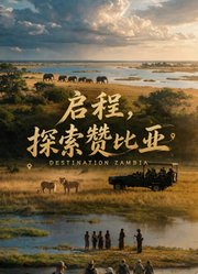 启程，探索赞比亚