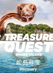 蛇岛寻宝