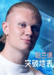 哈兰德：突破地表