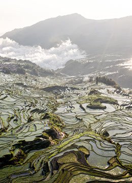 走遍中国·世界遗产