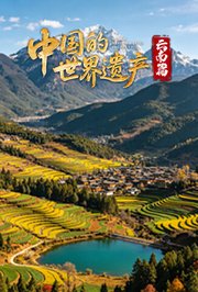 中国的世界遗产·云南篇