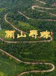 关山寻踪庄浪篇