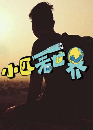 小匹看世界