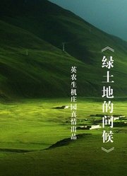 绿土地的问候
