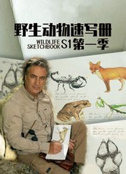 野生动物速写册