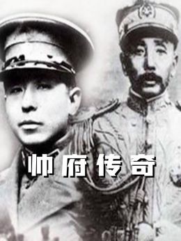 帅府传奇