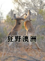 狂野澳洲