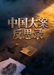 中国大案反思录