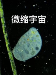 微缩宇宙