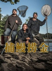 捕鳗捞金