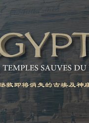 拯救即将消失的古埃及神庙