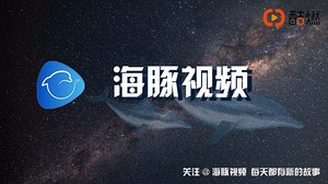 海豚视频