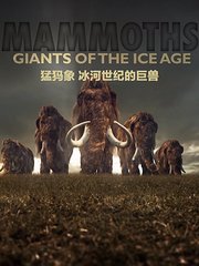 猛犸象：冰河世纪的巨兽