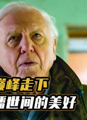 每一季都超过9分！他用60年的旅程，向人们讲述生命的美好