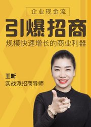 王昕：引爆企业招商加盟