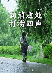 向消逝处，打捞回声