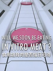 食用培育肉是否指日可待