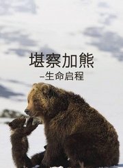 堪察加熊–生命启程