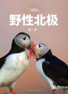 野性北极第1季