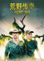 荒野传奇