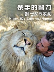 杀手的智力：狮子VS鬣狗